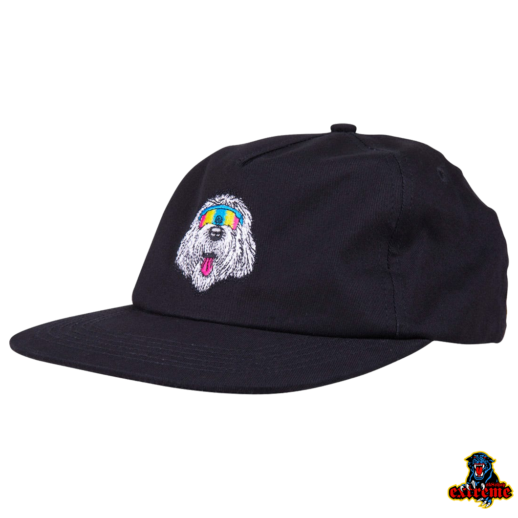 SANTA CRUZ CAP  MCCOY DONUT DOG CAP Black