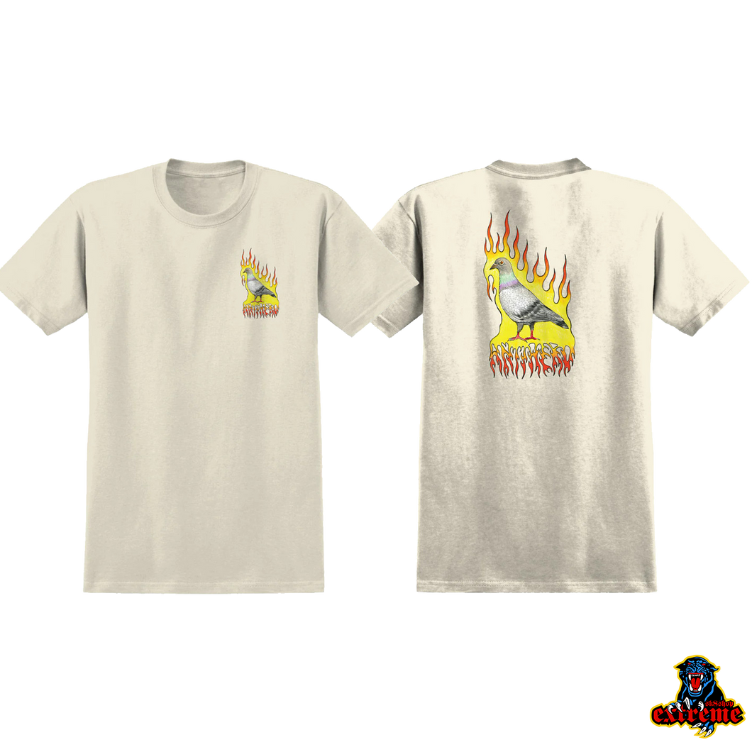 ANTI-HERO T-SHIRT Flame Pigeon Natural