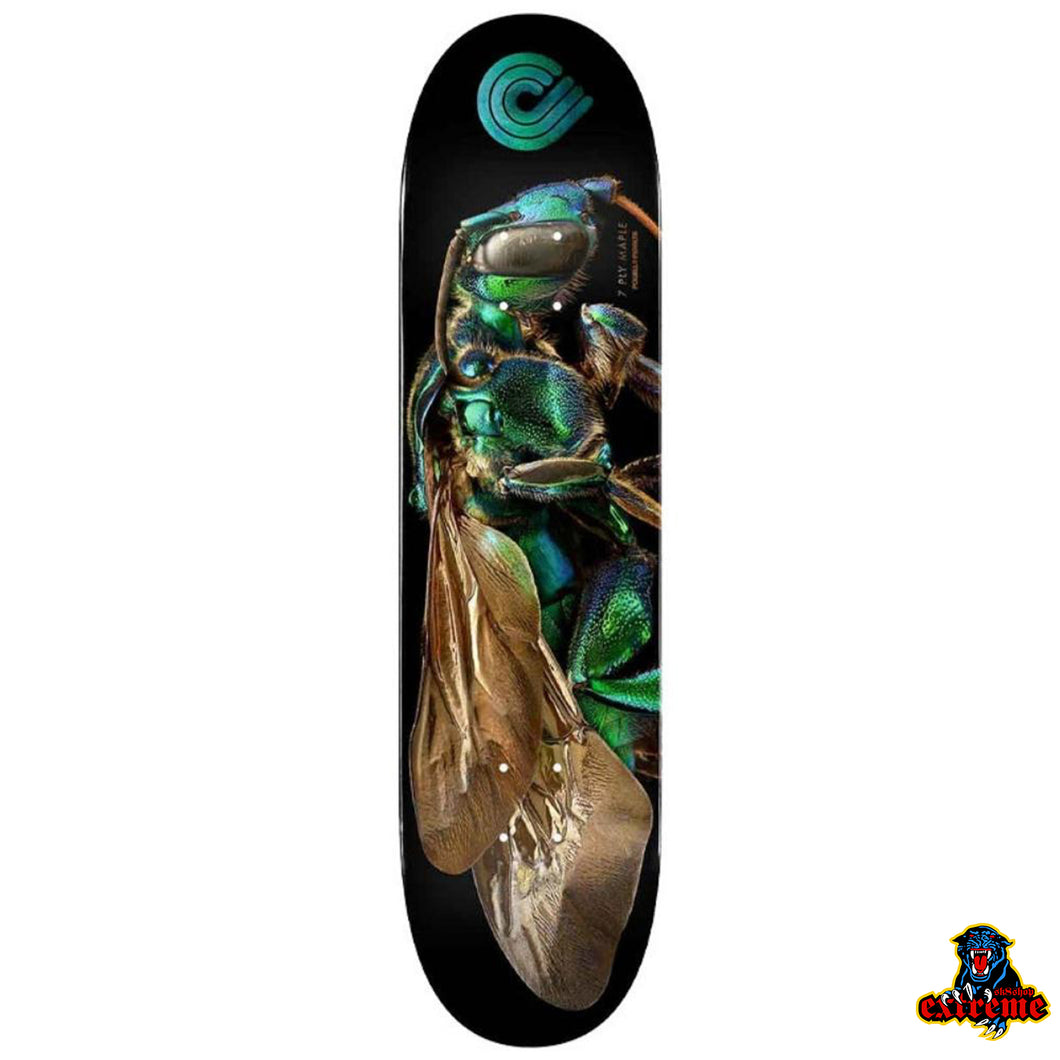 POWELL PERALTA BISS DECK Orchid Cuckoo Bee